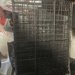 Dog Cage 