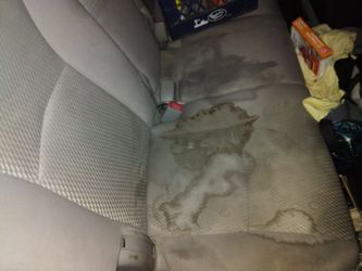 Interior And Exterior Car Detailer