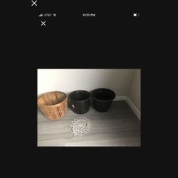 2 large pot plants, wooden planters, for all $ 10