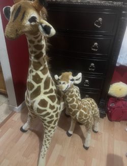 Giraffe Plush Toys