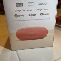 Home Mini