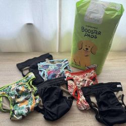 XL Reusable Dog Diapers & Disposable Pads