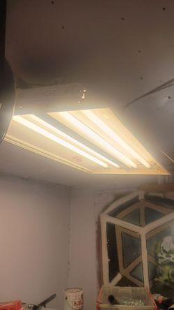 Fluorescent light fixture with bulbs
