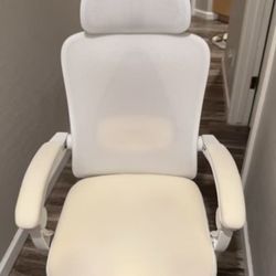Office Chairs