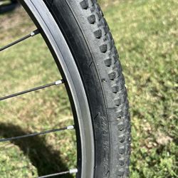 24 Inch Child’s Mountain Bike