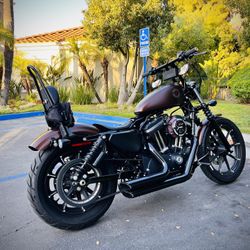 2019 Harley Davidson Sportster Iron  883 