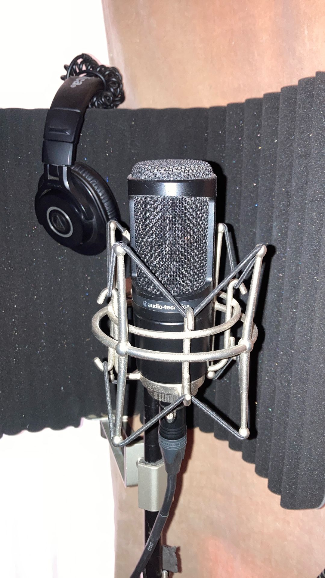 AT2020 (Condenser Microphone) 
