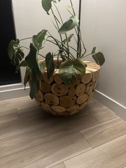 Solid Wood Large Planter