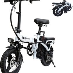 Folding Electric Bike 