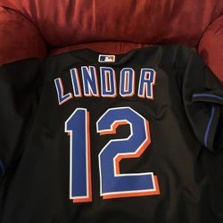 New York Mets Francisco Lindor Jersey 