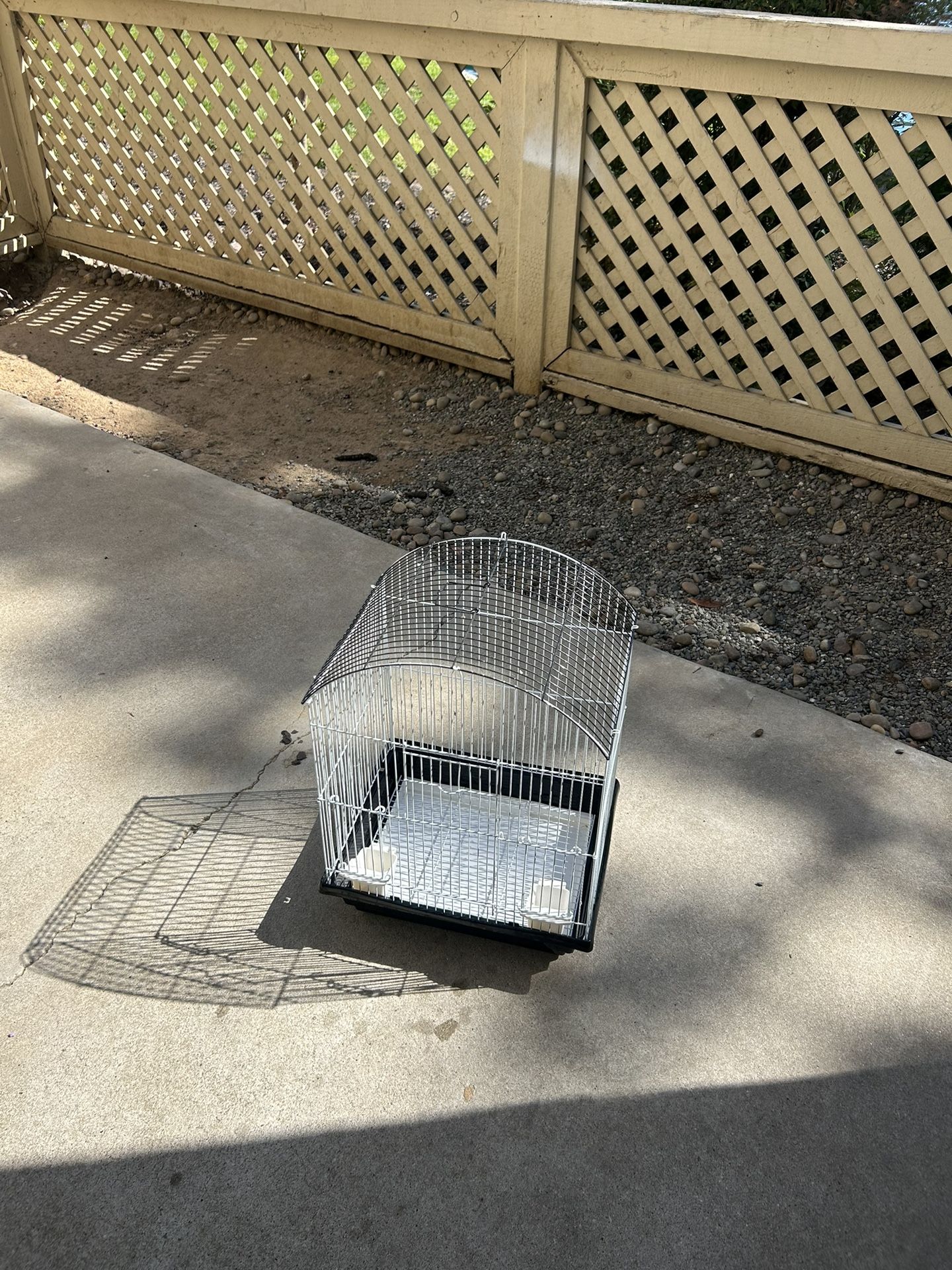 Bird Cage