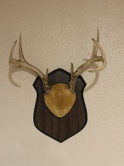 Vintage Whitetail Deer Antlers – Rustic Wall Decor