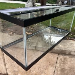 20 Gallon Fish Tank With Lid