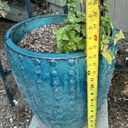 Ceramic Pot