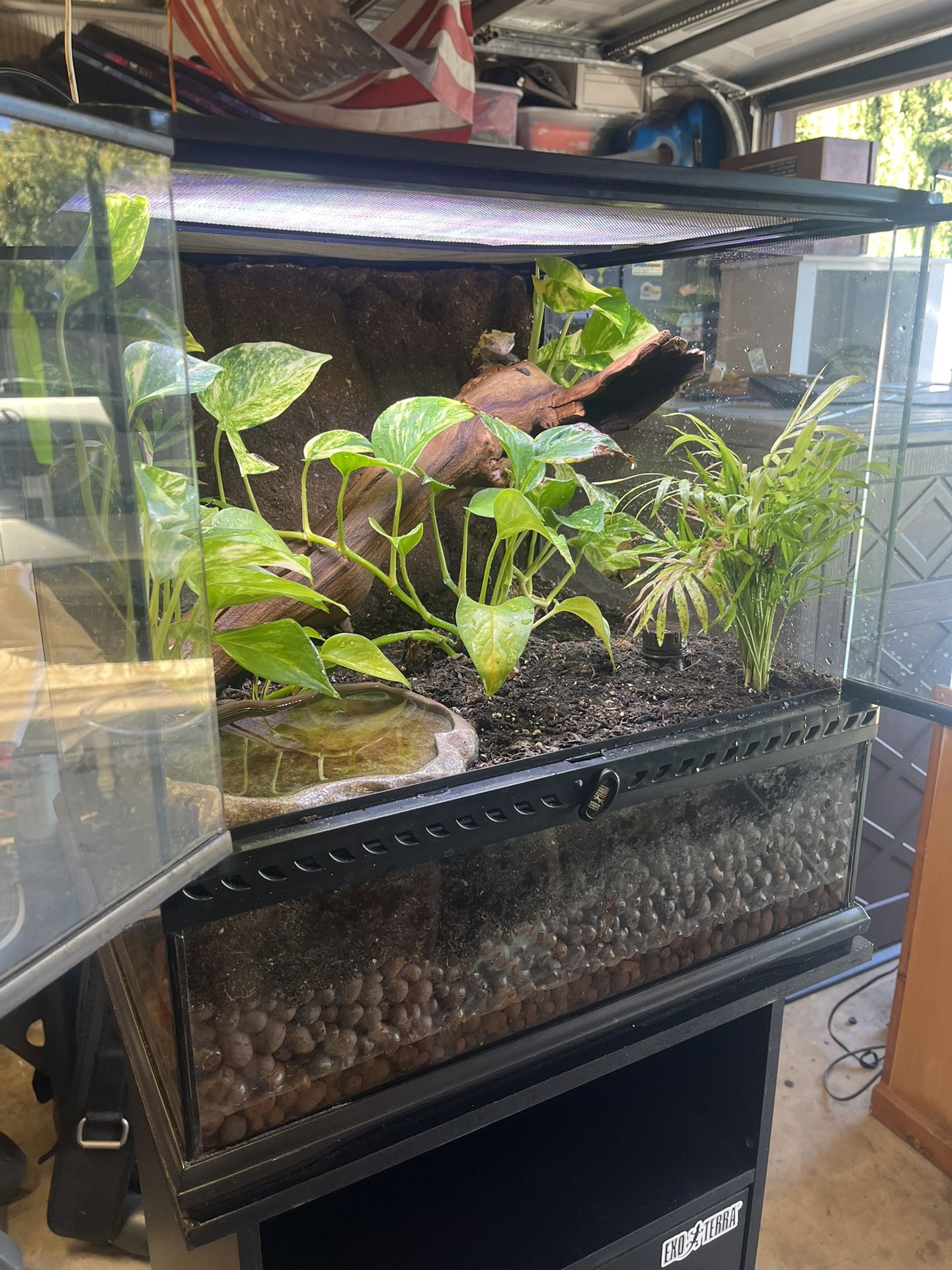 Beautiful Glass Reptile Terrarium