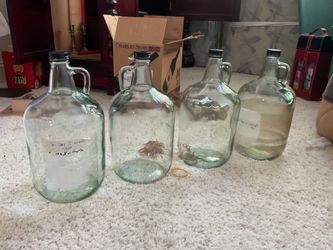 1  gallon  glass  jug  -  $10  each  (have  4)