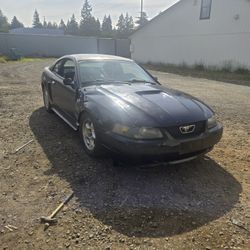 2000 Ford Mustang