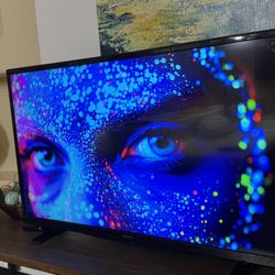 43” Inch Insignia Tv With Remote Control In Excellent Condition