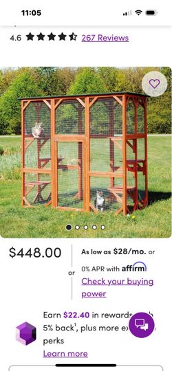 Cat patio