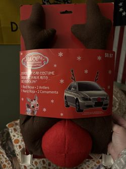 Rudolph car costume