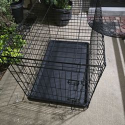 XL Dog Crate With Divider Section