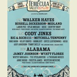 Temecula Balloon & Wine Music  Festival 🎶🤠