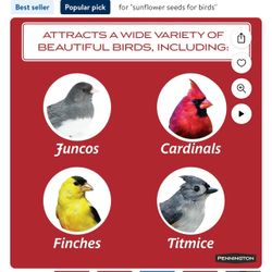 Pennington Select Black Oil Sunflower Seed Wild Bird Feed, 