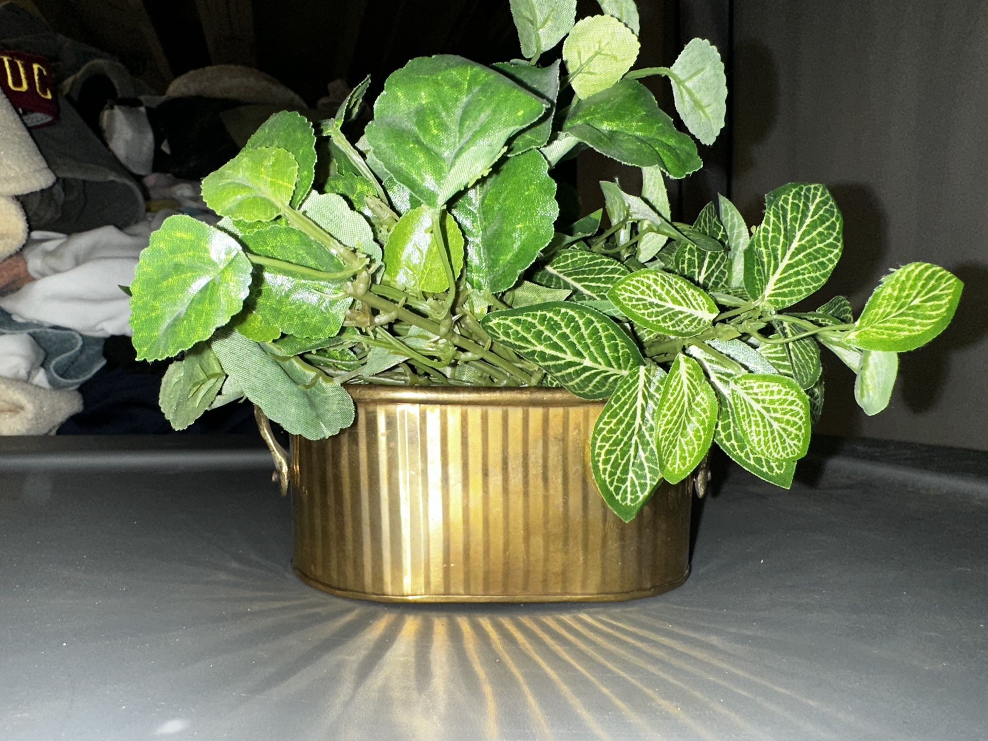 Fake Plant