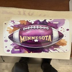 Minnesota License Plate