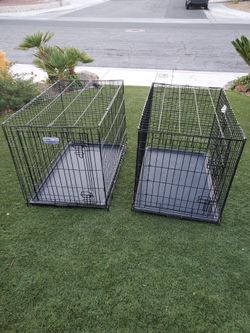 Dog cage 🐶🐕🐾