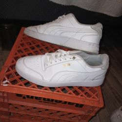 Men's Puma 10