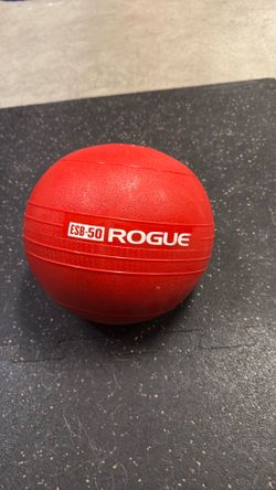 Rogue Echo Slam Ball 50lbs