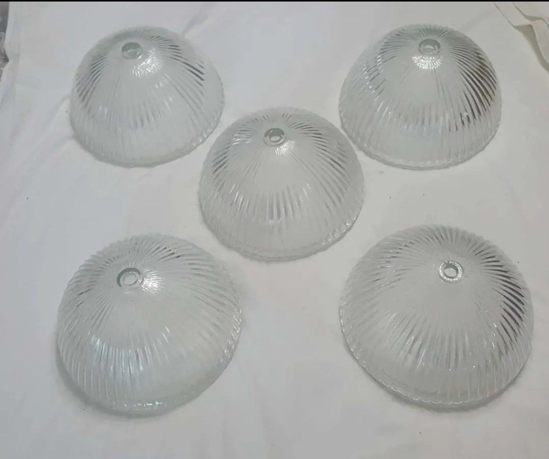 Replacement Clear Glass Ribbed Light Fixture Fan Globes