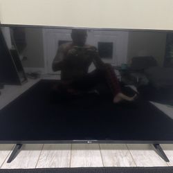 LG 43 inch TV