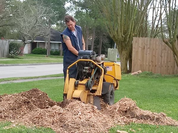 tree removal service jobs, Ridgeland SC