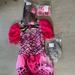 Costume Briar Beauty 