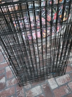 Foldable cage
