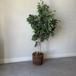 Free Fake Plant