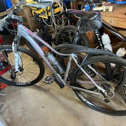 Ladies GIANT Mountain Bike with Dirt and Street Tires 