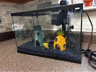 Complete fish tank (5 gal)