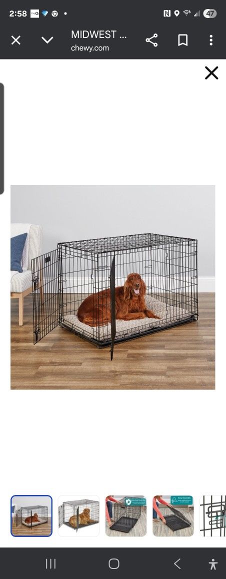 iCrate 1542DD / Medium-Large Dog Crate