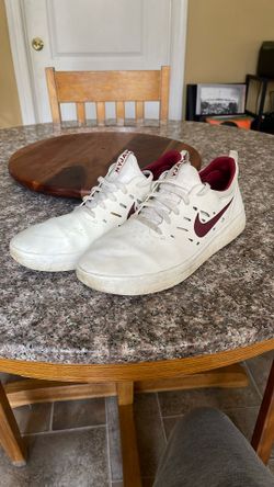 Nike Nyjah Free SB 'Summit White 10.5