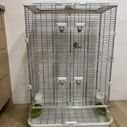 Bird Cage