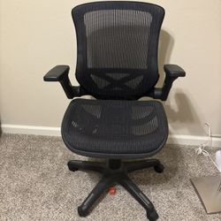 Office chair (Bayside Furnishings Metrex IV Mesh )