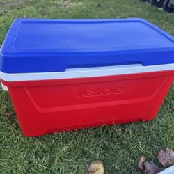 Igloo cooler  