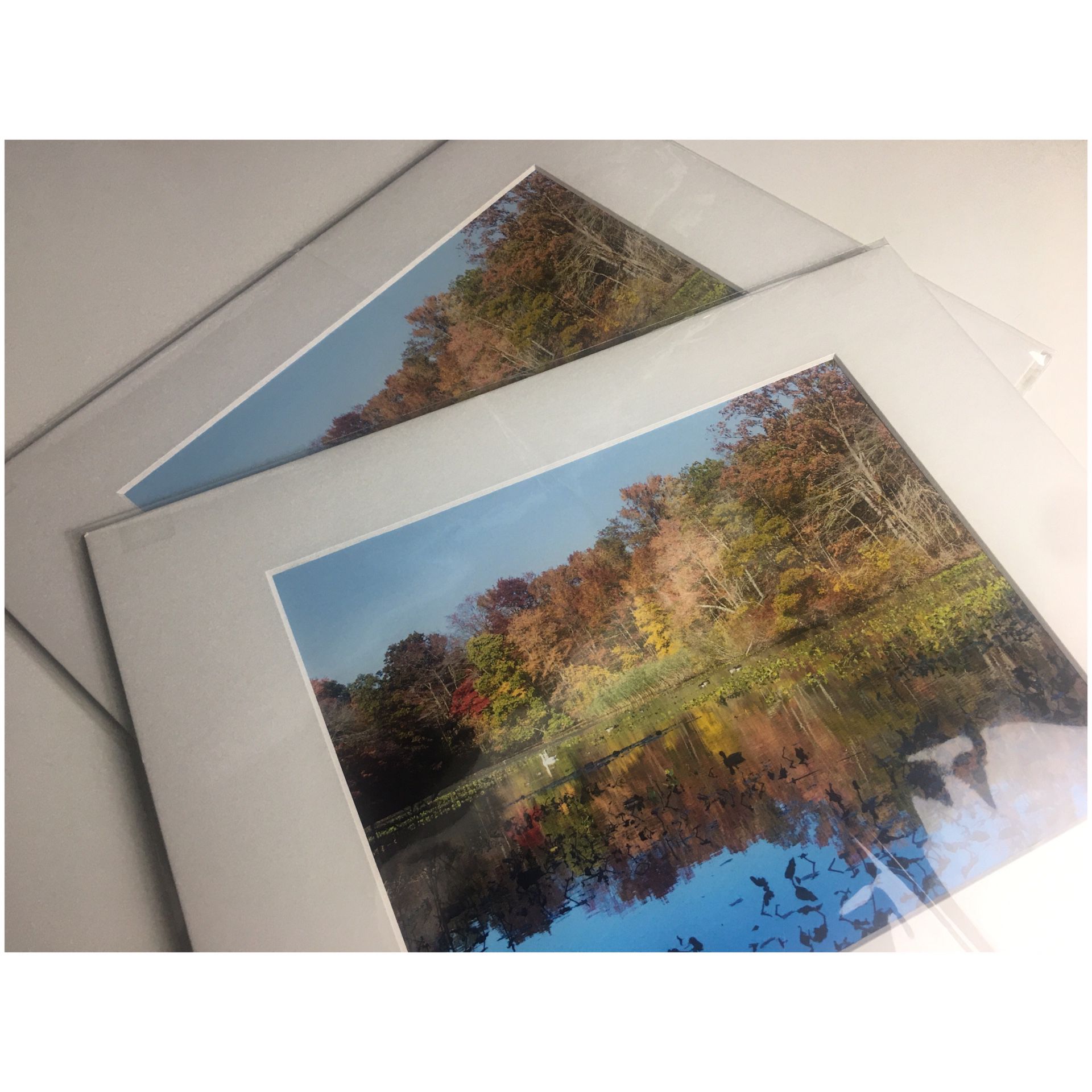 A Pond in Autumn: 2 8x10 High Resolution Fine Art Prints