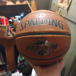 Spalding Never flat Pro Basketball