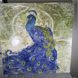 Peacock  Painting