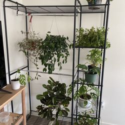 External Closet/plant Stand