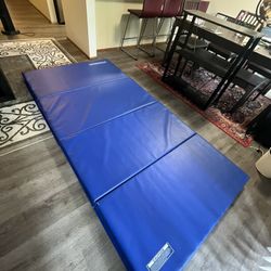Gymnastics Folding Panel Mat